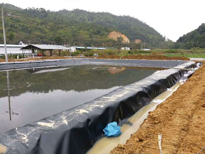 魚(yú)塘里用土工膜做防滲層需不需要回填土壤？